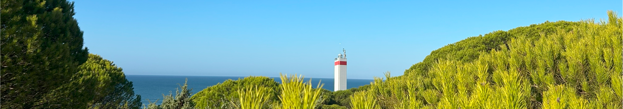 Download our map. INMO DOÑANA en Matalascañas