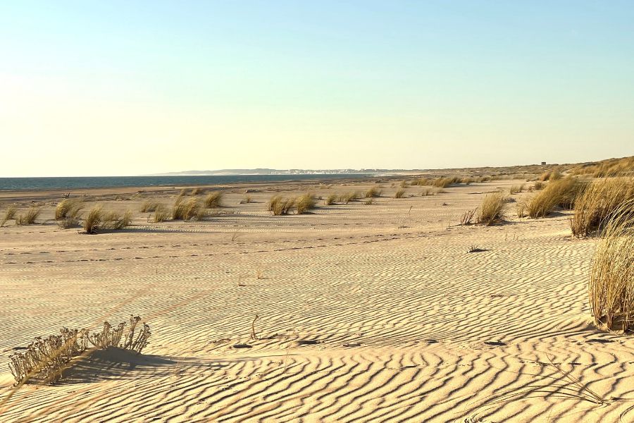 Inmobiliaria en Matalascañas.. INMODOÑANA en Matalascañas