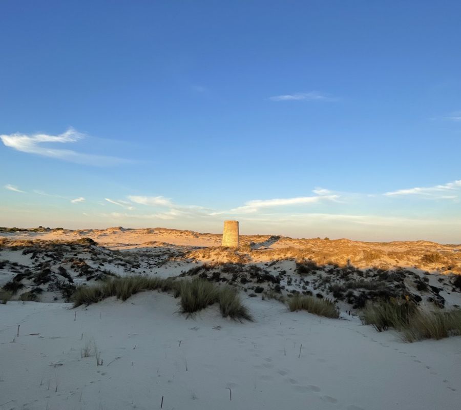 Chalets y viviendas en Matalascañas. INMODOÑANA en Matalascañas